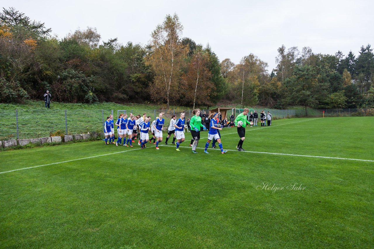 Bild 166 - Frauen FSC Kaltenkirchen - VfR Horst : Ergebnis: 2:3